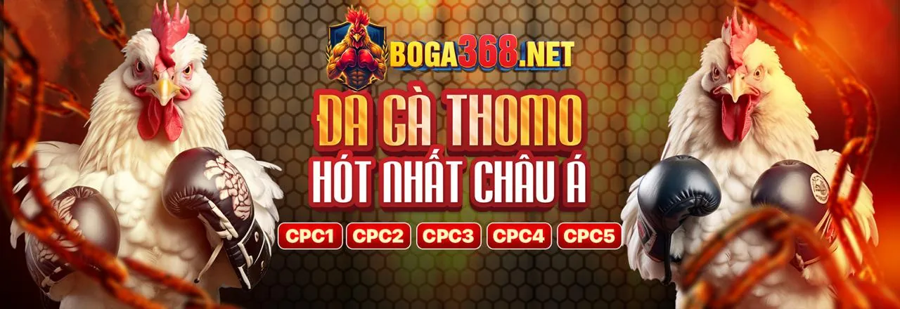 Đá gà trực tuyến s689 app với giao diện cược số sôi động